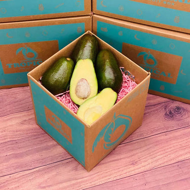 Benny Avocado Box Avocados Tropical Fruit Box Small (5 Pounds)